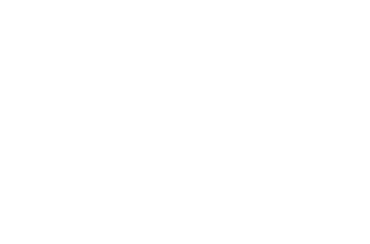 BUD HOLDINGS SA.